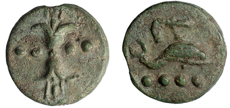 Rome- thunderbolt/ dolphin