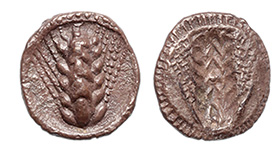 Italy, Lucania, Metapontum