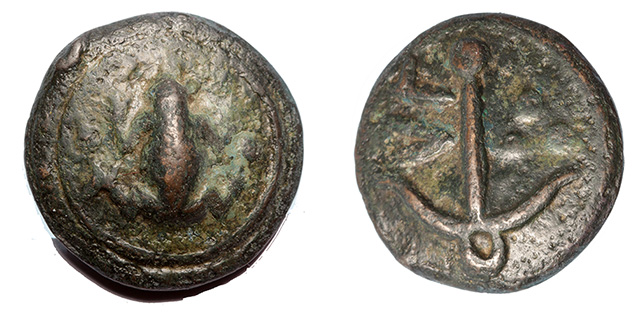 Italy, Umbria, Tuder- frog sextans