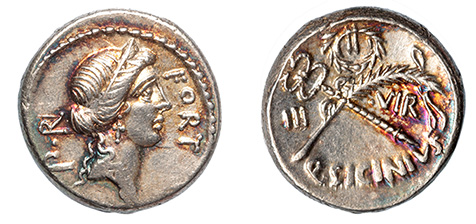 Q. Sicinius, 49 B.C.