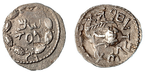 Bar Kokhba, Zuz overstrike, ex: Samel collection