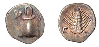 Boeotia, Orchomenos, pedigreed to 2011