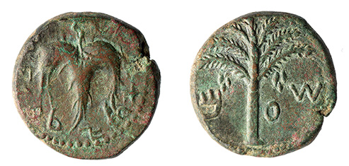 Bar Kokhba, Year 2 =133/134 A.D. Mildenberg plate 